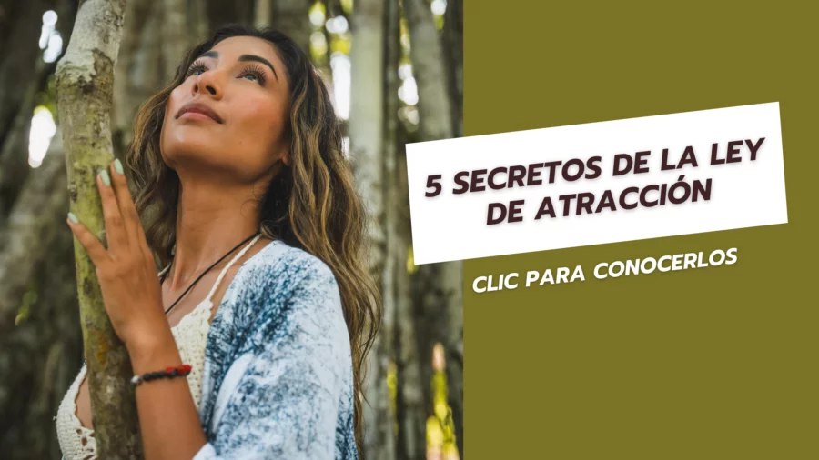 5 Secretos de la ley de atracción