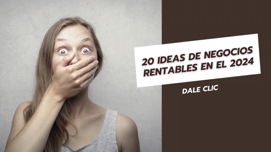 20 ideas de negocios rentables en el 2024