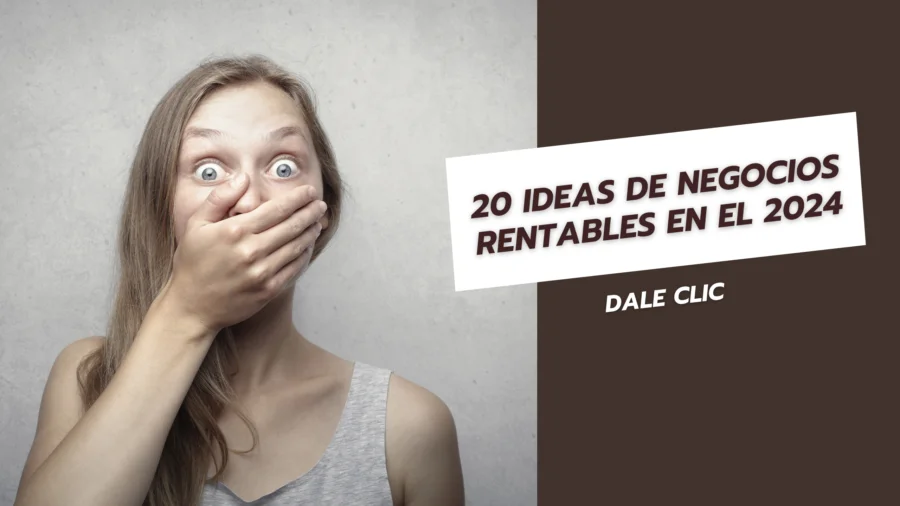 20 ideas de negocios rentables en el 2024