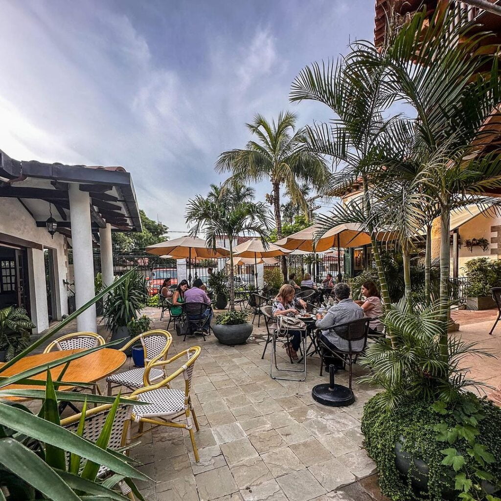 CAFETERIA CON PLANTAS