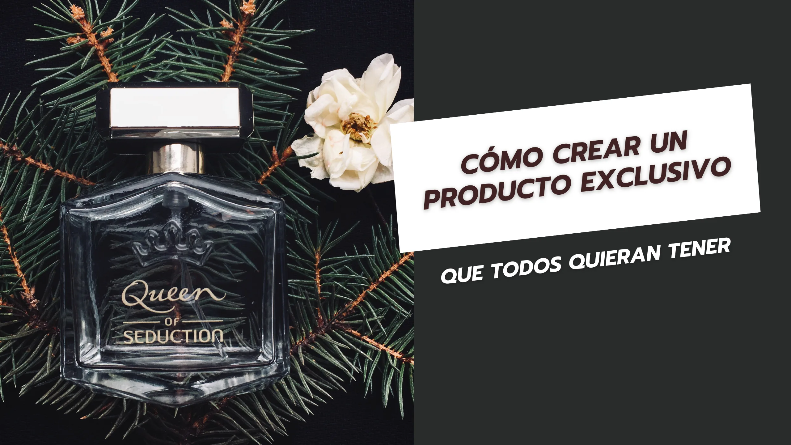 Cómo crear un producto exclusivo