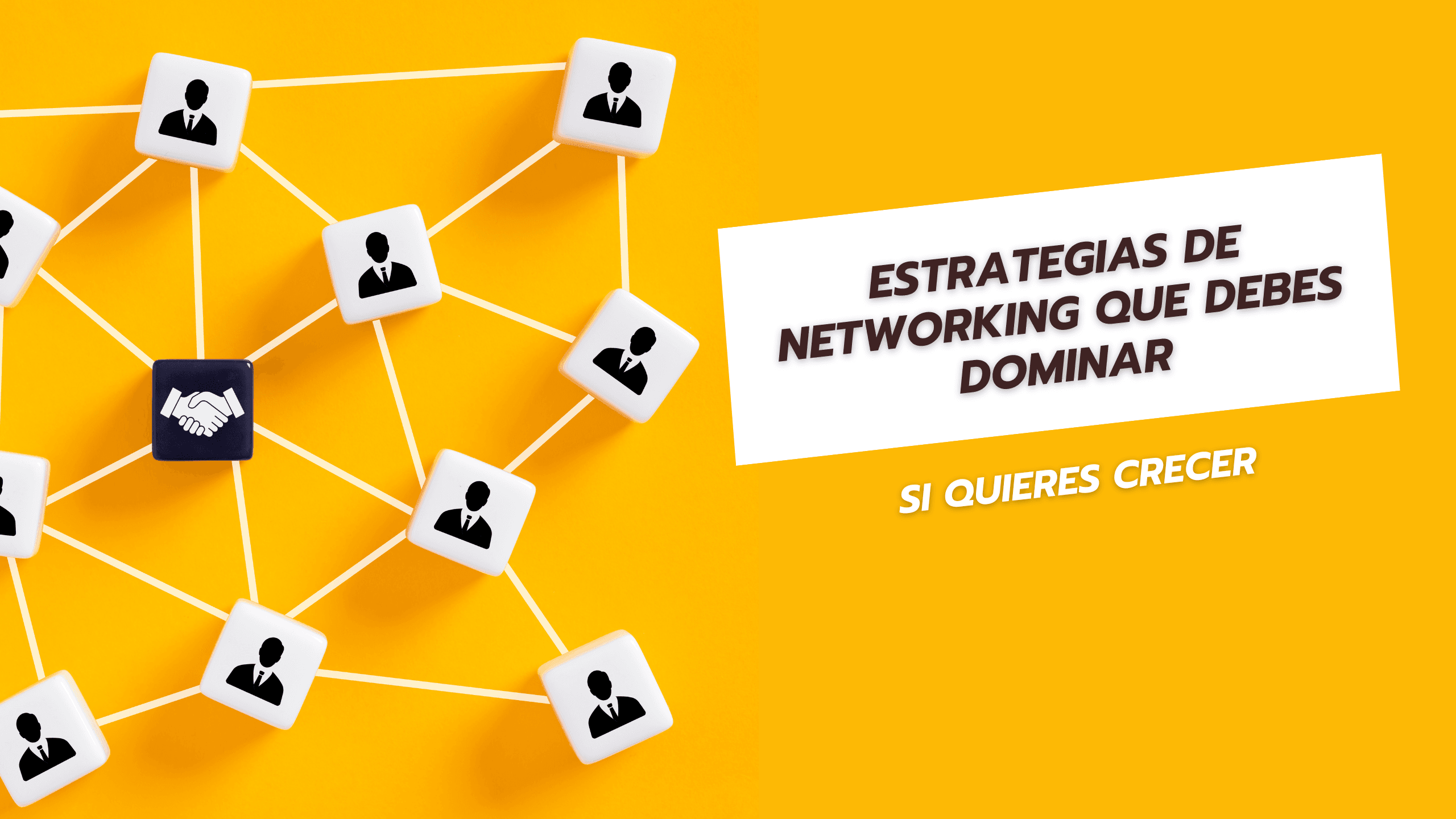 Estrategias de networking que debes dominar