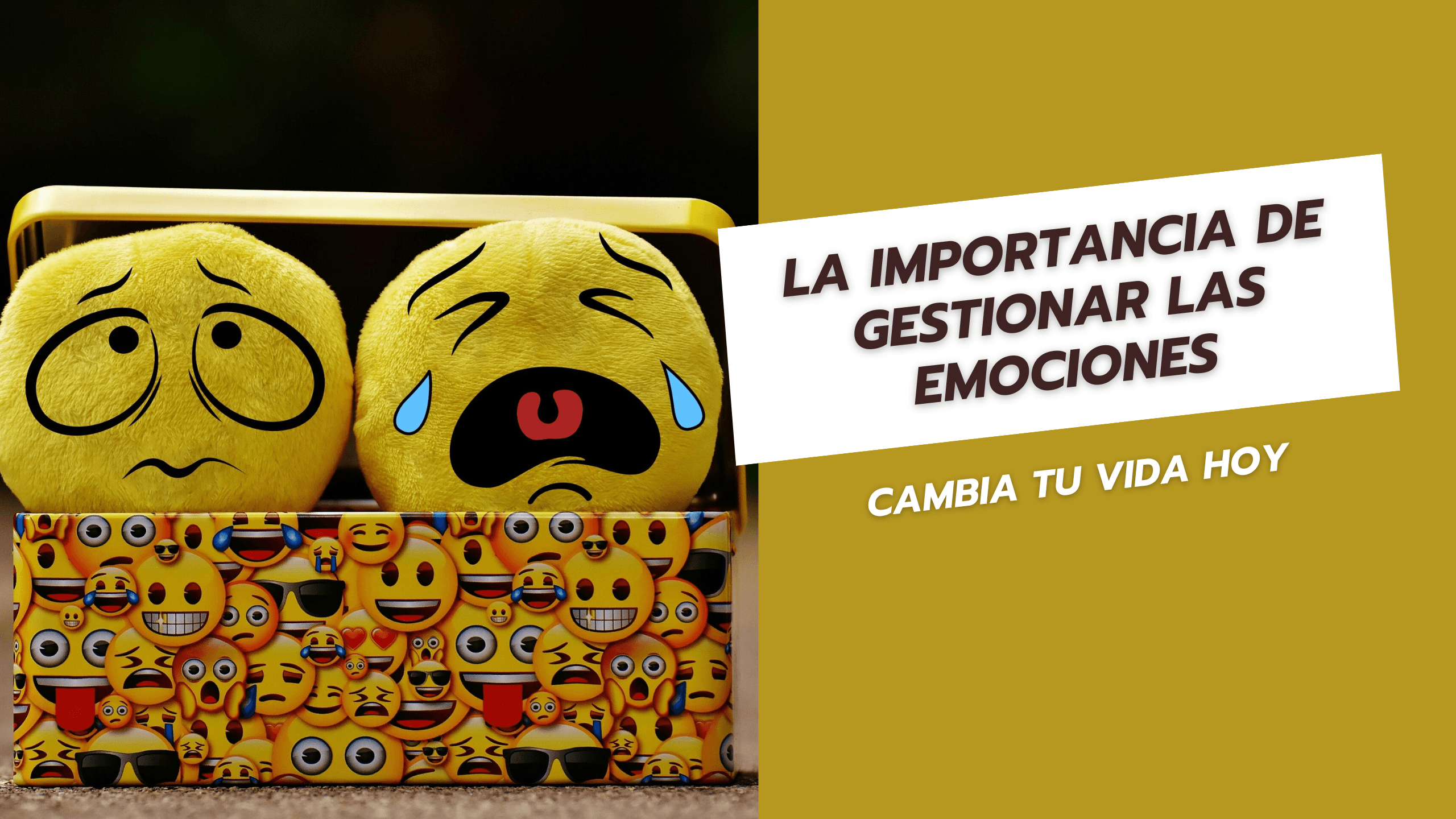 La importancia de gestionar las emociones Cambia tu vida hoy