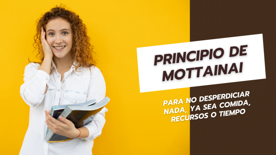 Principio de Mottainai