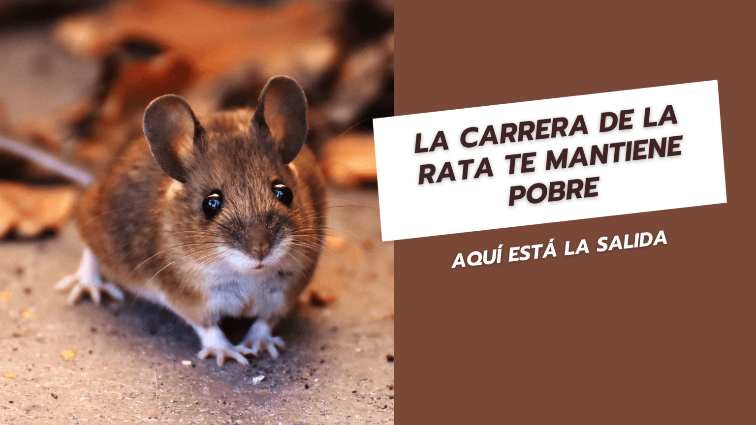 La carrera de la rata te mantiene pobre, aquí está la salida