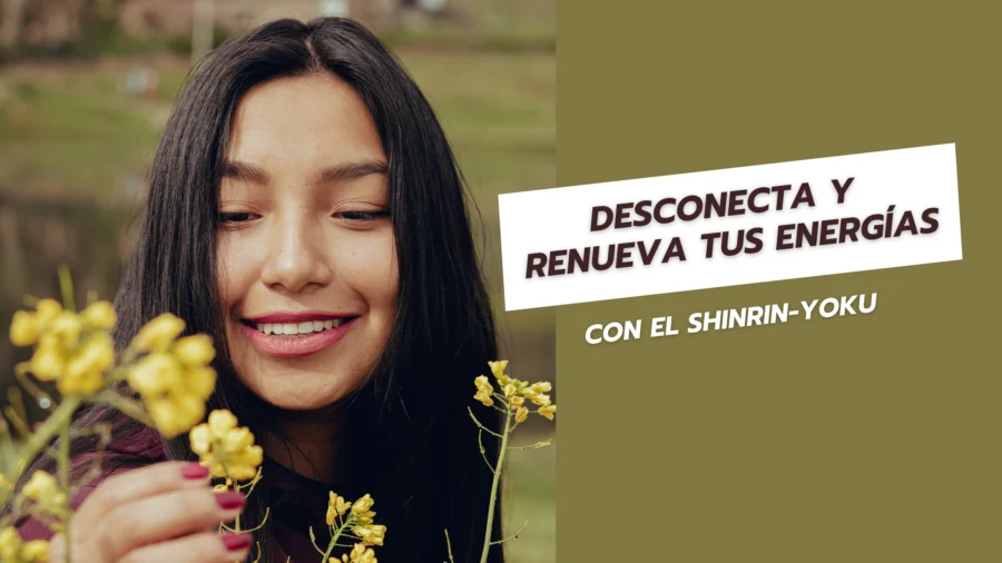 Renueva tus energías con el shinrin-yoku