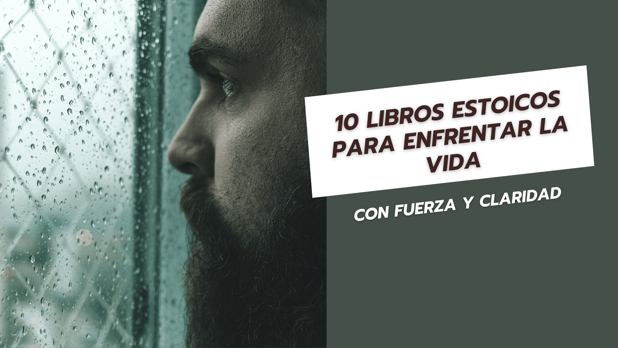 10 libros estoicos para enfrentar la vida con fuerza y claridad