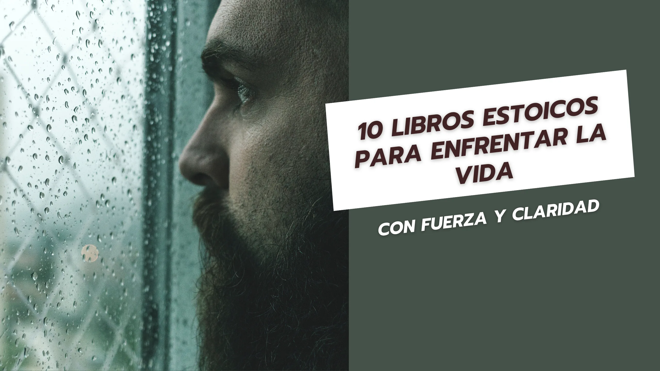 10 libros estoicos para enfrentar la vida con fuerza y claridad