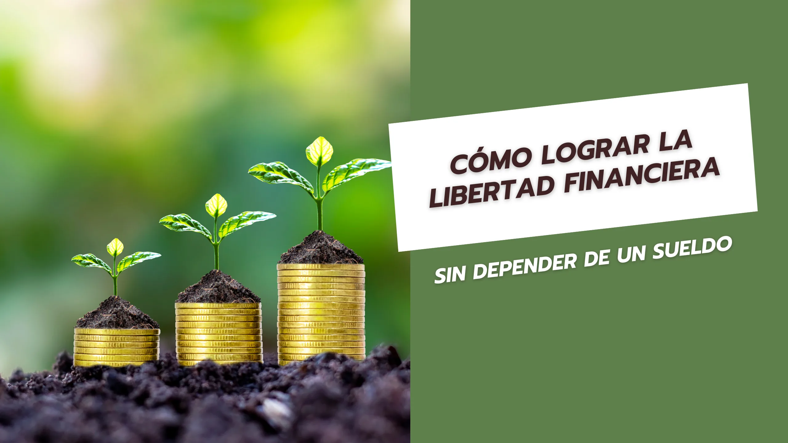 Cómo lograr la libertad financiera sin depender de un sueldo