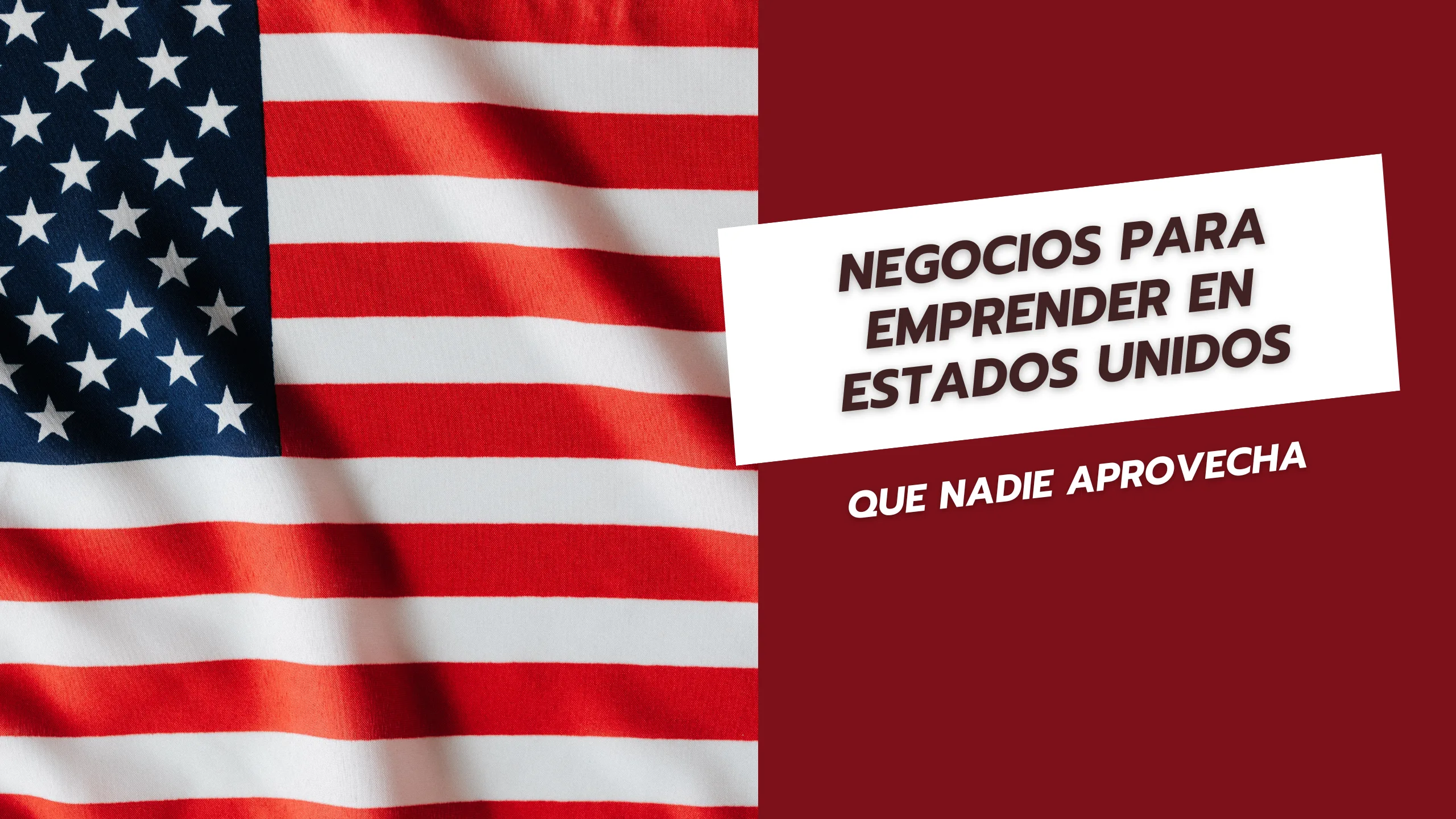 Negocios para emprender en Estados Unidos que nadie aprovecha