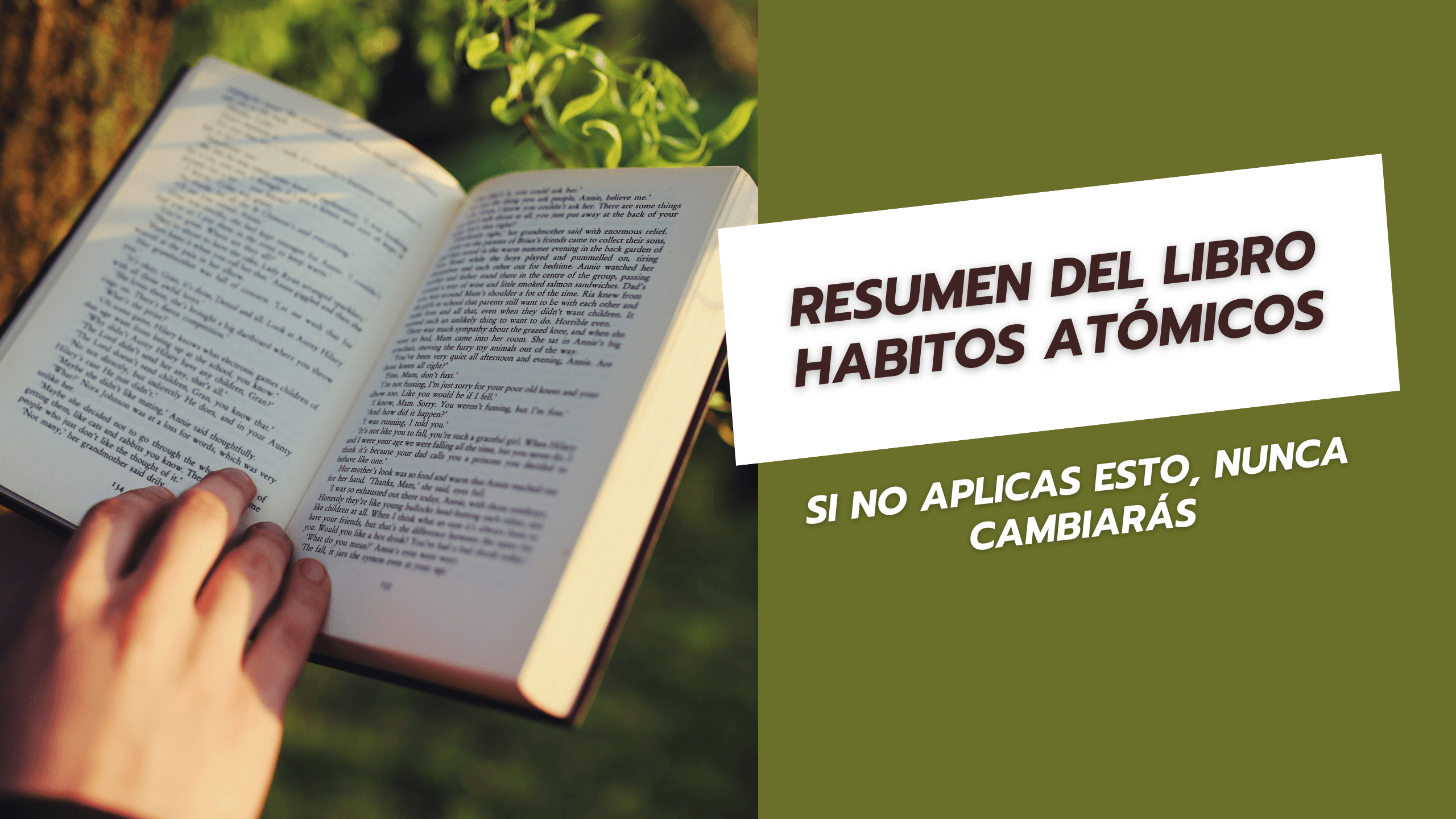 Resumen del libro habitos atómicos