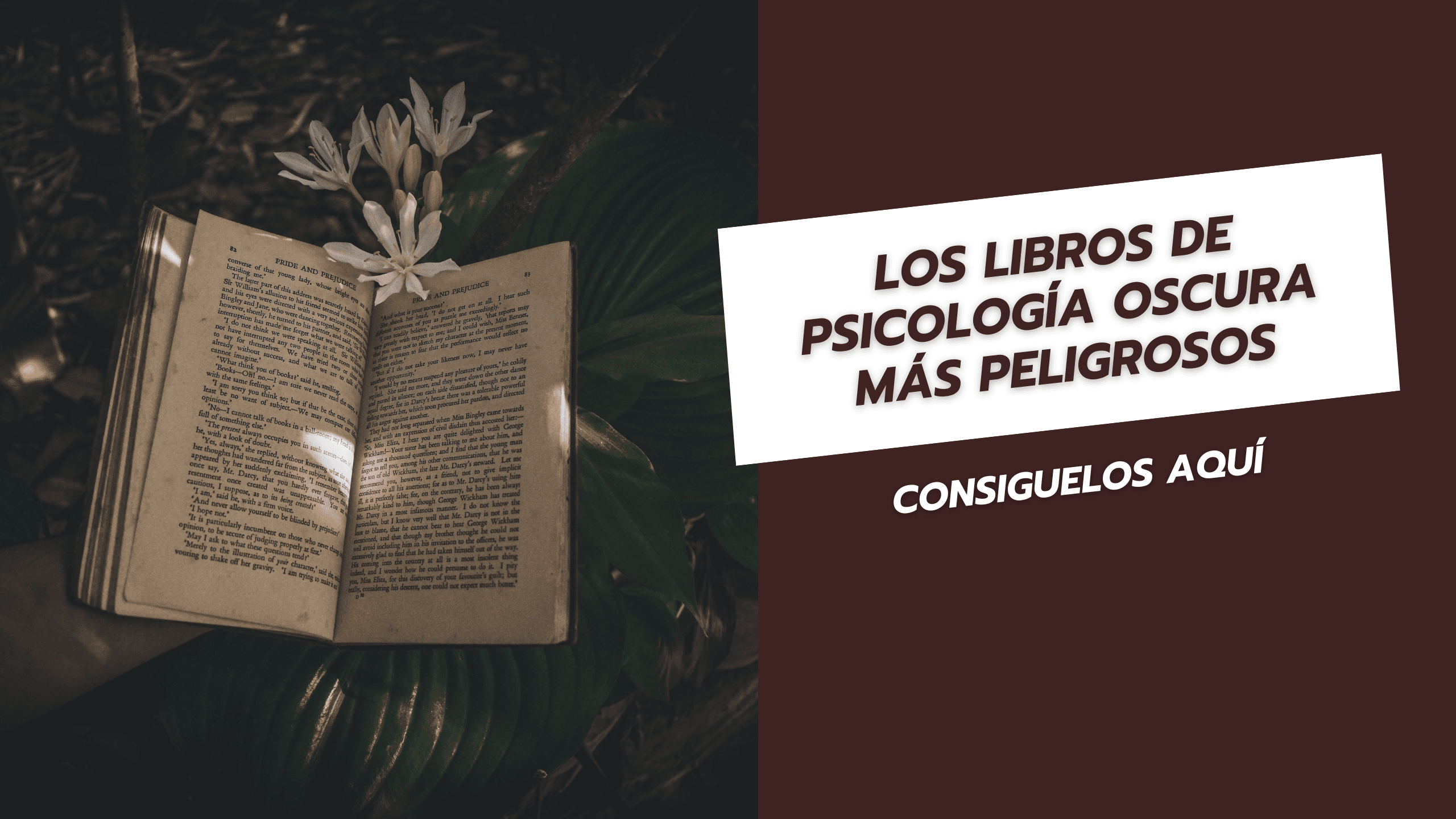 Los libros de psicología oscura