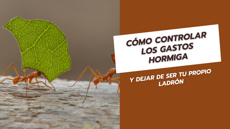 Cómo controlar los gastos hormiga y dejar de ser tu propio ladrón