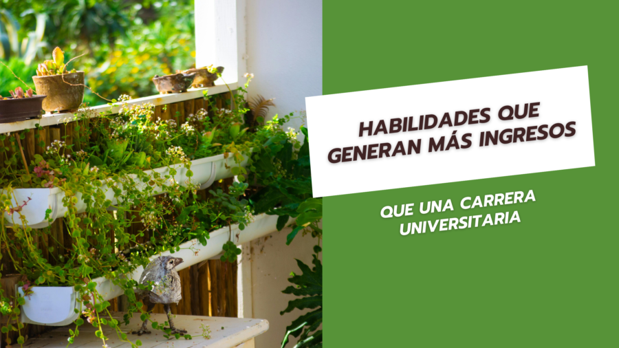 Habilidades que generan más ingresos que una carrera universitaria