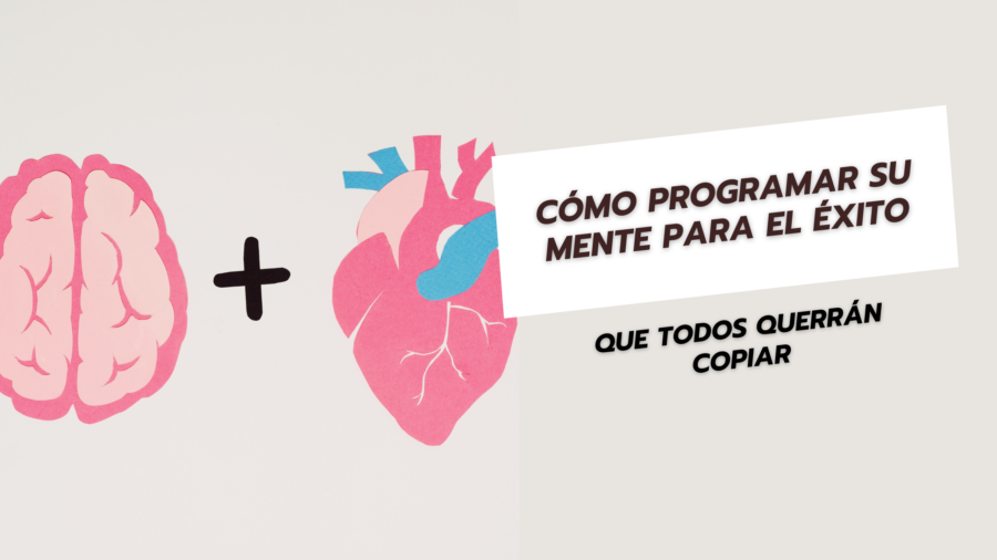 Cómo programar su mente para el éxito
