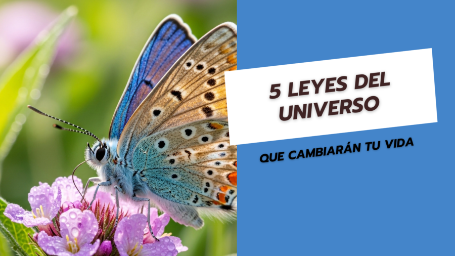 Leyes del universo